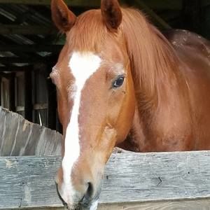 Meet your Posher, Laura